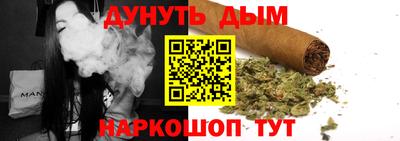сатива Краснодар