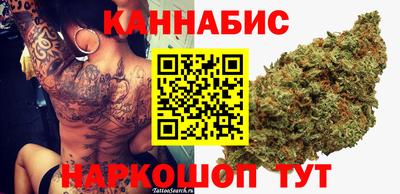 сатива Краснодар